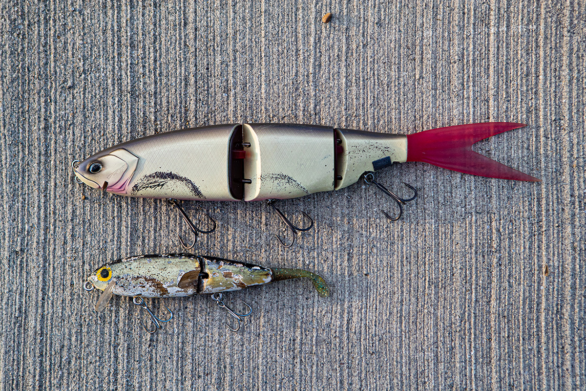 ミノー・プラグ ・メタルジグ・ビッグベイト 水面炸裂！ド派手なバイトを体感せよ！ オカッパリシーバス